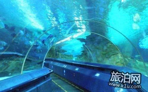 去北京富国海底世界怎么走 北京富国海底世界在哪里