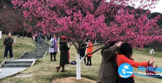 南宁春天赏花地点有哪些 2018南宁赏花地址+门票