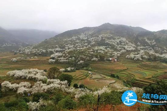 南宁春天赏花地点有哪些 2018南宁赏花地址+门票