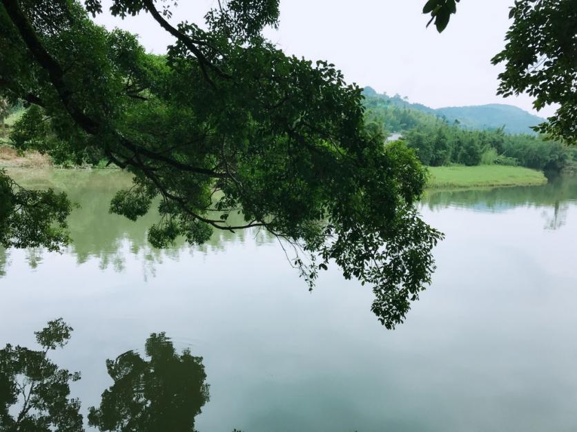 去厦门住哪里比较方便 厦门什么时候去最好