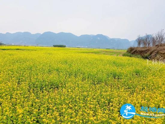 南宁春天赏花地点有哪些 2018南宁赏花地址+门票