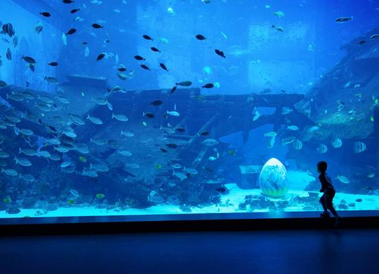 2017新加坡的海底世界好玩吗 新加坡海底世界亲子游攻略