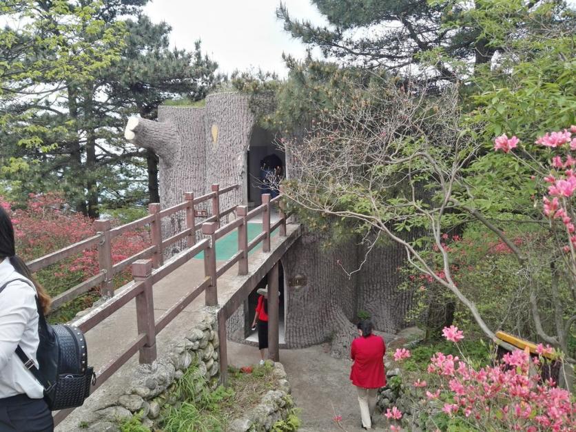 龟峰山风景区好玩吗 龟峰山旅游攻略