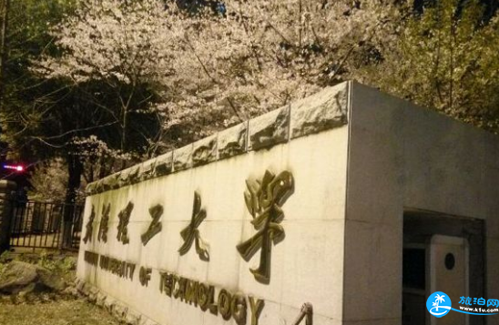 武汉理工大学樱花门票+开放时间+路线