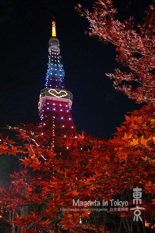 去日本旅游要带什么 日本有什么值得买的