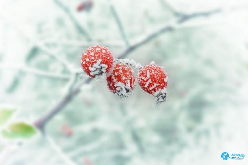 12月份去哪里旅游好 12月去哪里旅游最合适