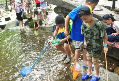 临安市太湖源有哪些民宿  临安市太湖源的民宿在哪里