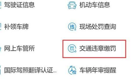 武汉交通违章怎么用支付宝交罚款
