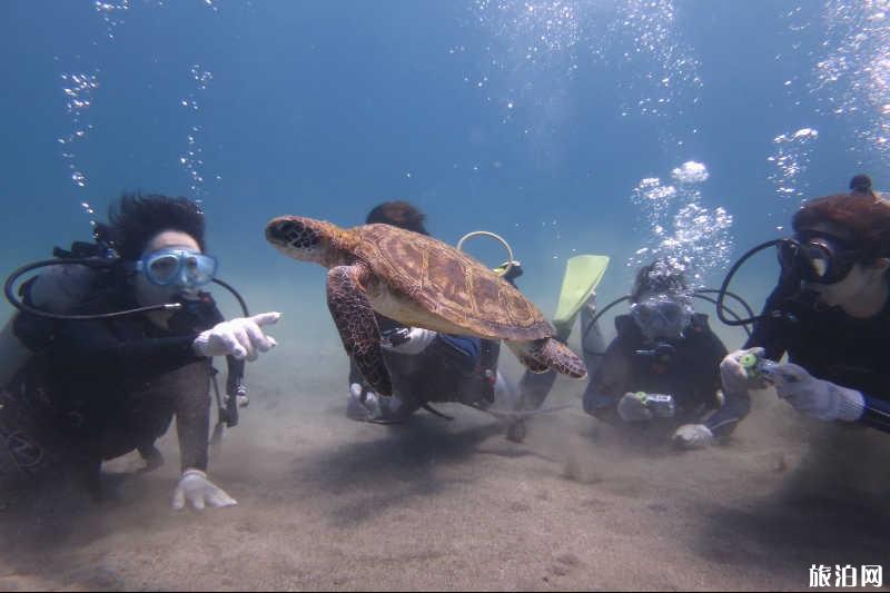 香港离岛怎么去 离岛旅游交通公路