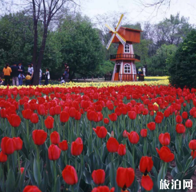 沈阳景点排行榜2018 沈阳必去的景点排名