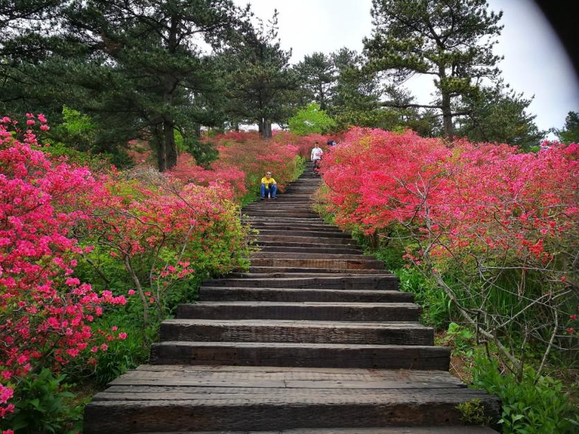 龟峰山风景区好玩吗 龟峰山旅游攻略