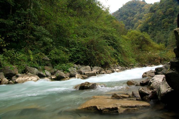 鞍子河自然保护区  崇州鞍子河