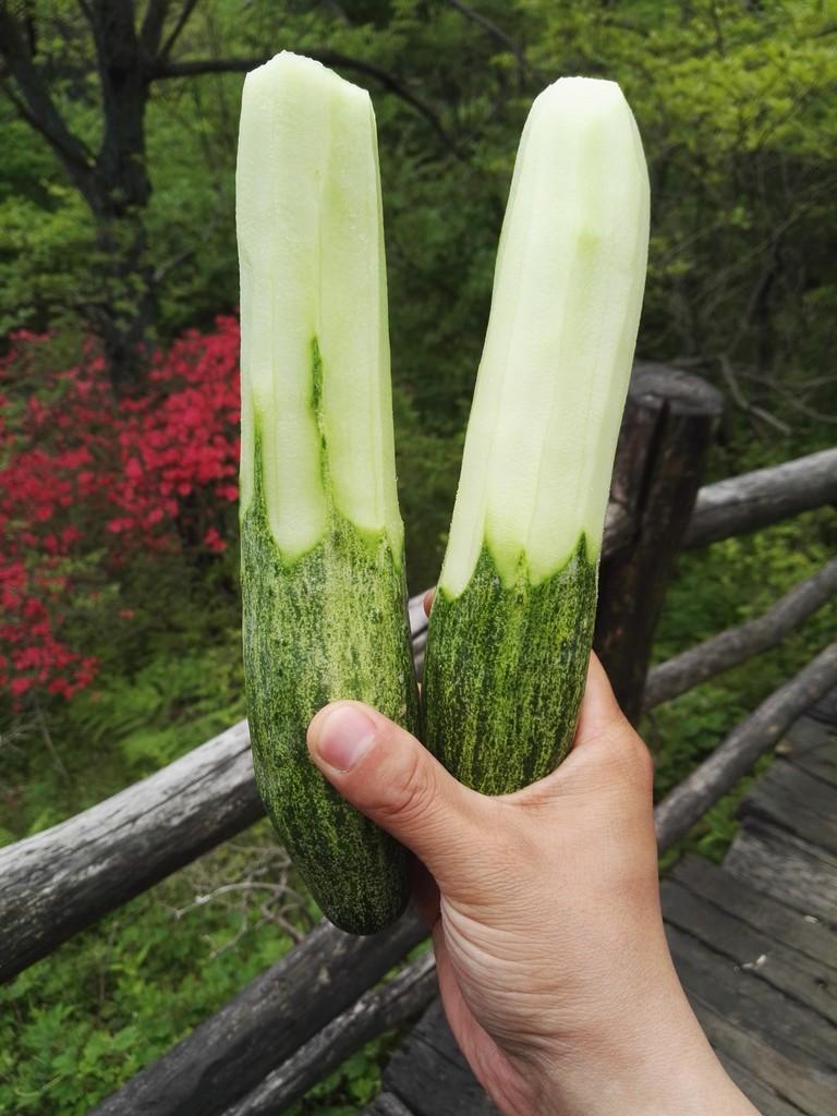 龟峰山风景区好玩吗 龟峰山旅游攻略