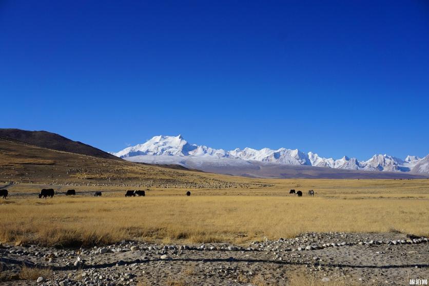 西藏有哪些山 西藏知名雪山盘点