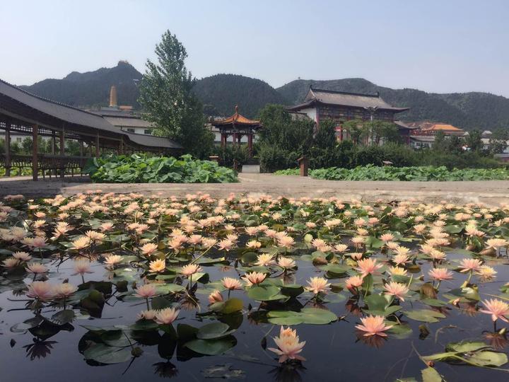 宜阳灵山有哪些好玩的景点  宜阳灵山在哪儿  宜阳灵山好玩吗