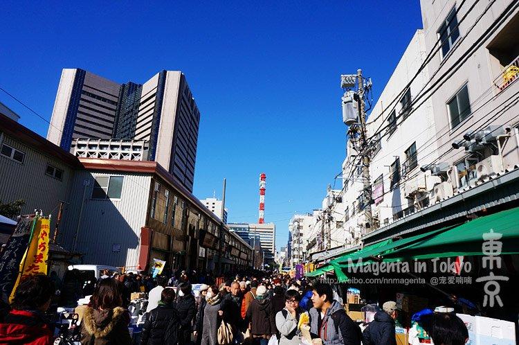 去日本旅游要带什么 日本有什么值得买的