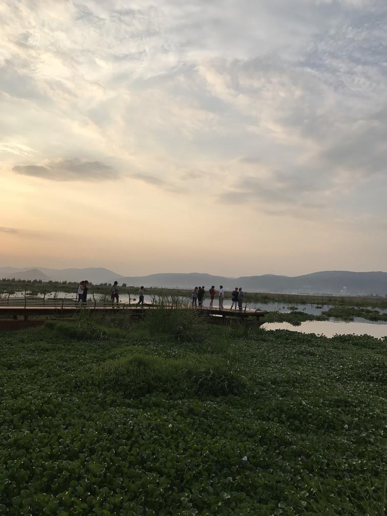 杞麓湖国家湿地公园自助旅游攻略