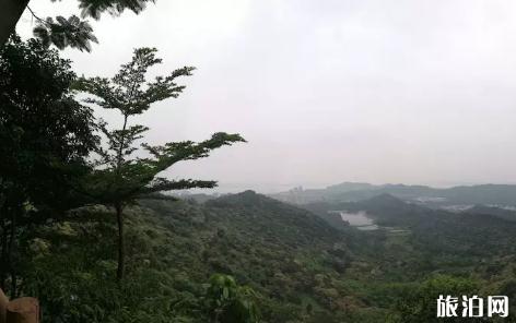 广州黄山鲁森林公园值得去吗 广州黄山鲁森林公园好玩吗