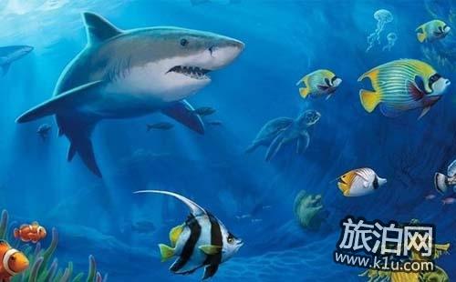 南京海底世界怎么走 南京海底世界好玩吗
