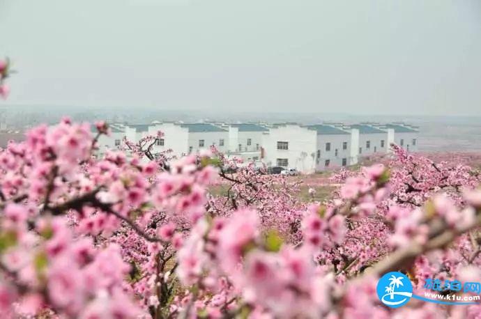 2018湖北赏花地图  湖北赏花的地方有哪些