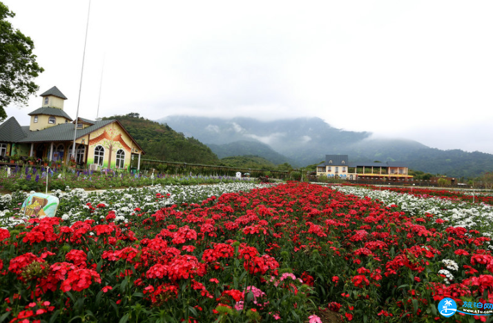 2018惠州罗浮山那里花开主题公园门票+地址+优惠政策