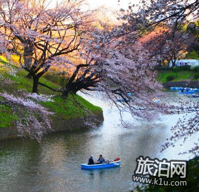 东京的樱花什么时候开2018  东京看樱花的地方推荐