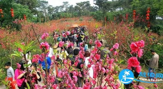 南宁春天赏花地点有哪些 2018南宁赏花地址+门票