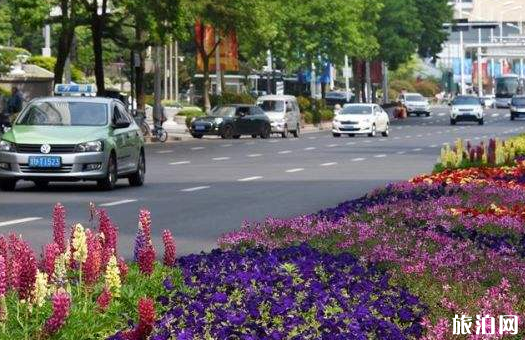 2018青岛6月本市车辆单双号限行