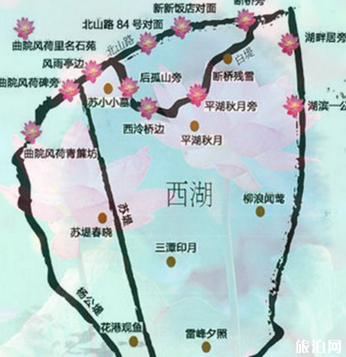 2018杭州西湖荷花节门票+时间+地址