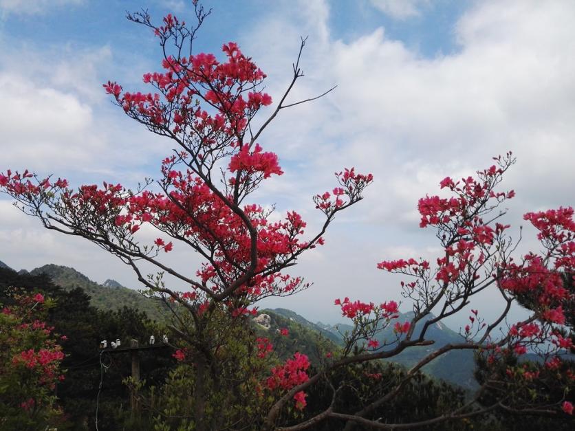 龟峰山风景区好玩吗 龟峰山旅游攻略