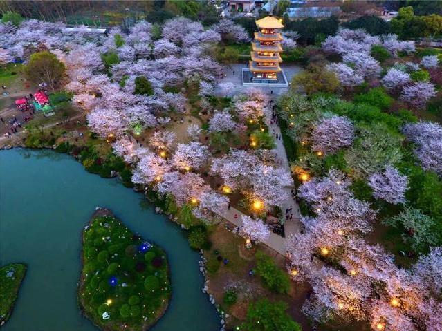 武汉东湖磨山樱园门票价格介绍 附樱园夜景攻略