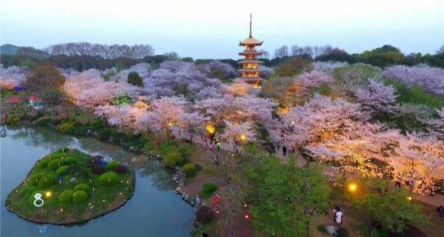 武汉东湖磨山樱园门票价格介绍 附樱园夜景攻略