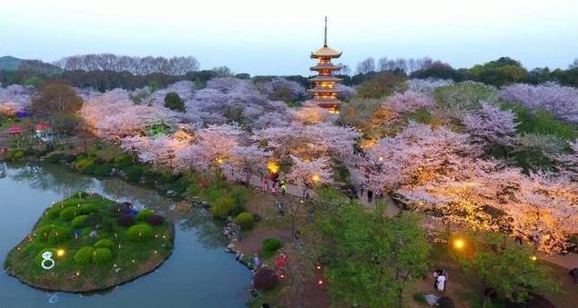 武汉东湖磨山樱园门票价格介绍 附樱园夜景攻略