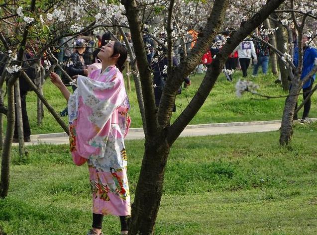 武汉东湖磨山樱园门票价格介绍 附樱园夜景攻略