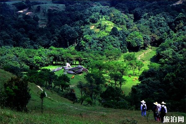 罗定八排山登山线路图 八排山海拔高度多少