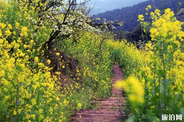 九凤山风景区介绍 九凤山门票-游玩攻略