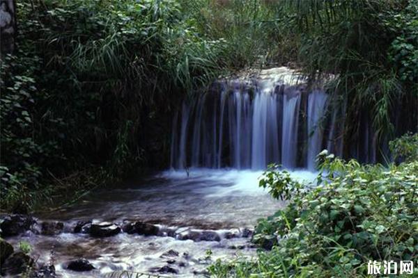 深沟森林公园景区介绍 深沟森林公园景区门票-交通指南