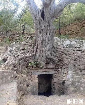 济南灵岩寺简介 济南灵岩寺雕塑介绍