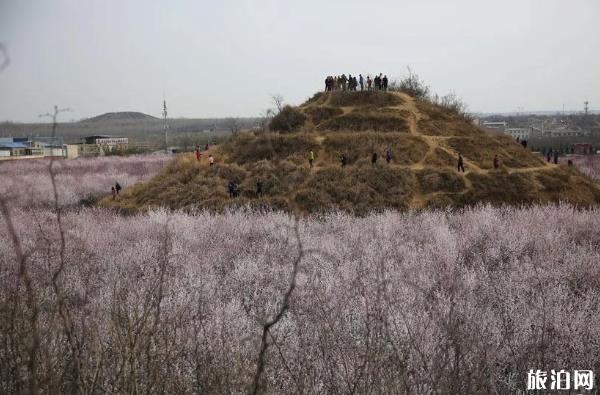 西安明十三陵遗址简介