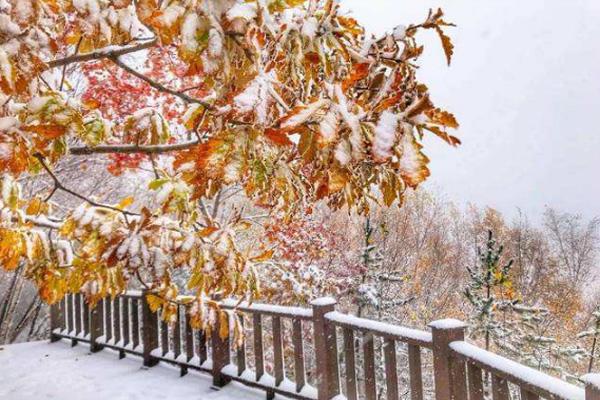 河北下雪了吗今天2020 河北滑雪场哪个最好玩