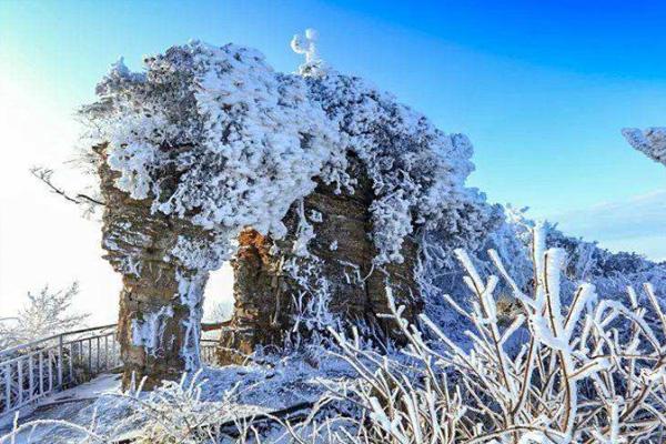 四川光雾山下雪了吗 2020四川光雾山冰雪节开幕有哪些活动