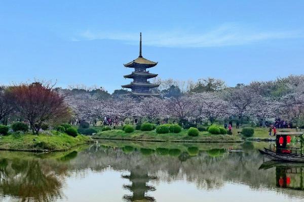 东湖磨山风景区需要预约吗 东湖磨山风景区游玩攻略