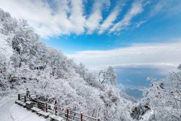 洛阳老君山下雪了吗2021 老君山冬天去好玩吗