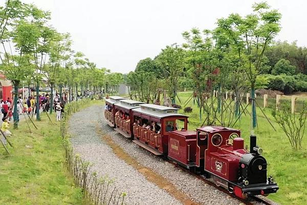 郑州松鼠部落购票指南