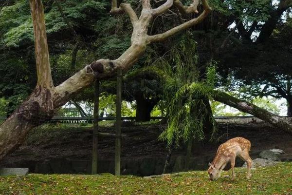 哈尔滨旅游山区景点推荐