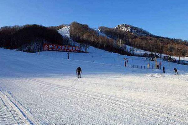 哈尔滨有哪些滑雪场 哈尔滨滑雪场排名