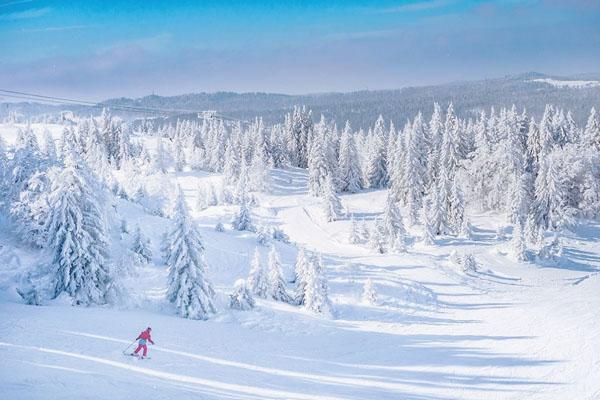 2021-2022神农架国际滑雪场门票价格费用