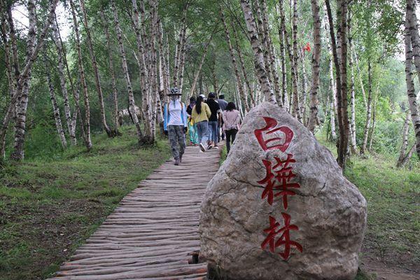 康乐县白桦林冰雪世界免费到什么时候?日常门票价格介绍