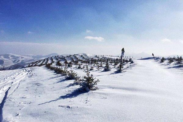 天津最好的滑雪场推荐 附滑雪场介绍