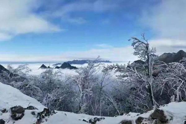 重庆下雪了吗2021年12月 重庆哪里下雪了